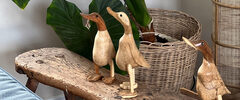 accessoires foto2