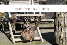 moes  tekst