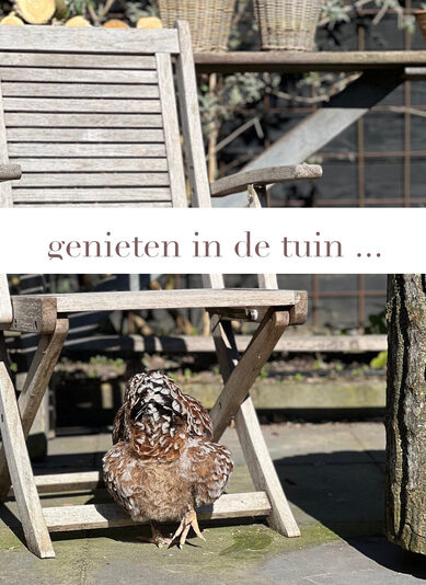 moes  tekst