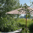 parasol5