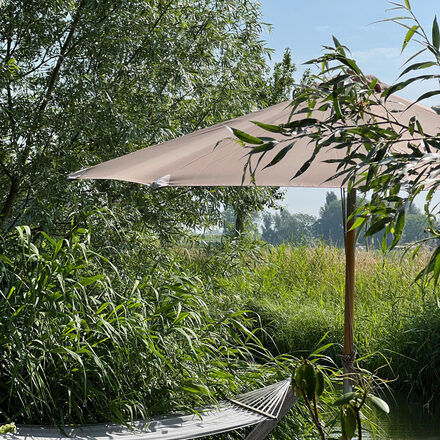 parasol5