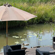 parasol7