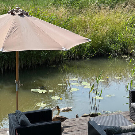parasol7