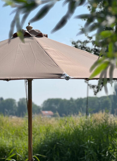 parasol4