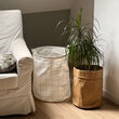 mand ruit2