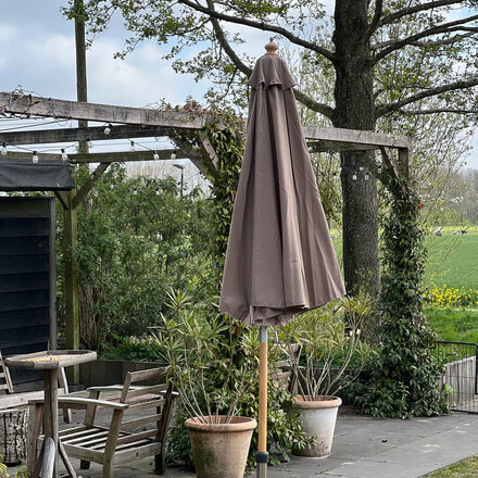 parasol1