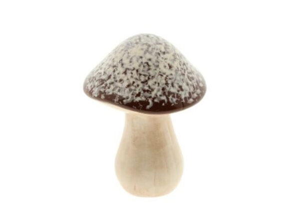 862506138NONE7801-7dda6e86be74406838d1faf1242a957a52c933e4