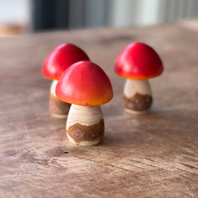 paddenstoel zonder stip2