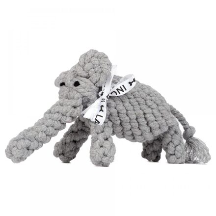 olifant2