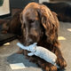 olifant makker4
