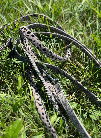 riem gras