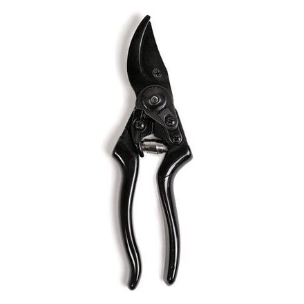 bybenson_pim-item_uploads_342_342-Secateur-Basic
