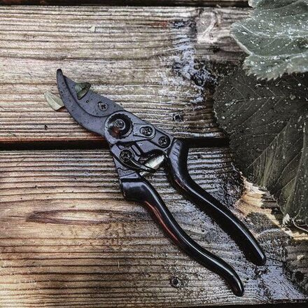 bybenson_pim-item_uploads_342_secateur-basic-145582_1200x