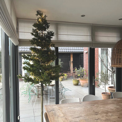 hoge stam kerstboom 2