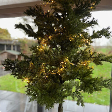 kerstboom2