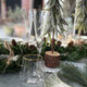 glas stip 2