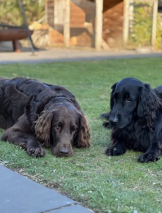 Over ons Makker en Skyler