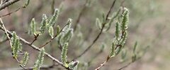 thumbnail_IMG_5323