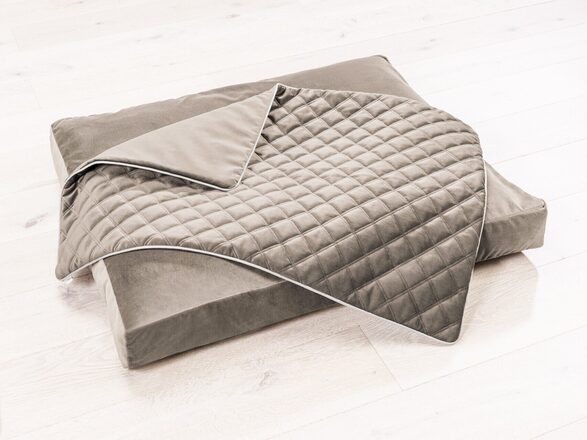 2e161f8b-f29a-41c4-a640-8add4905f51f