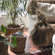 baskets woonkamer
