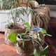 baskets woonkamer2