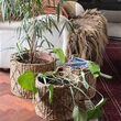 baskets woonkamer2