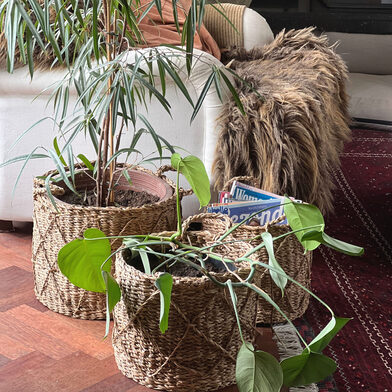 baskets woonkamer2