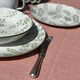 servies buiten3