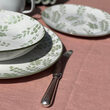 servies buiten3