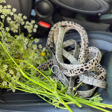 riemen in auto