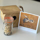 meester vogel2