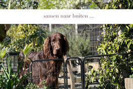 makker tuin tekst